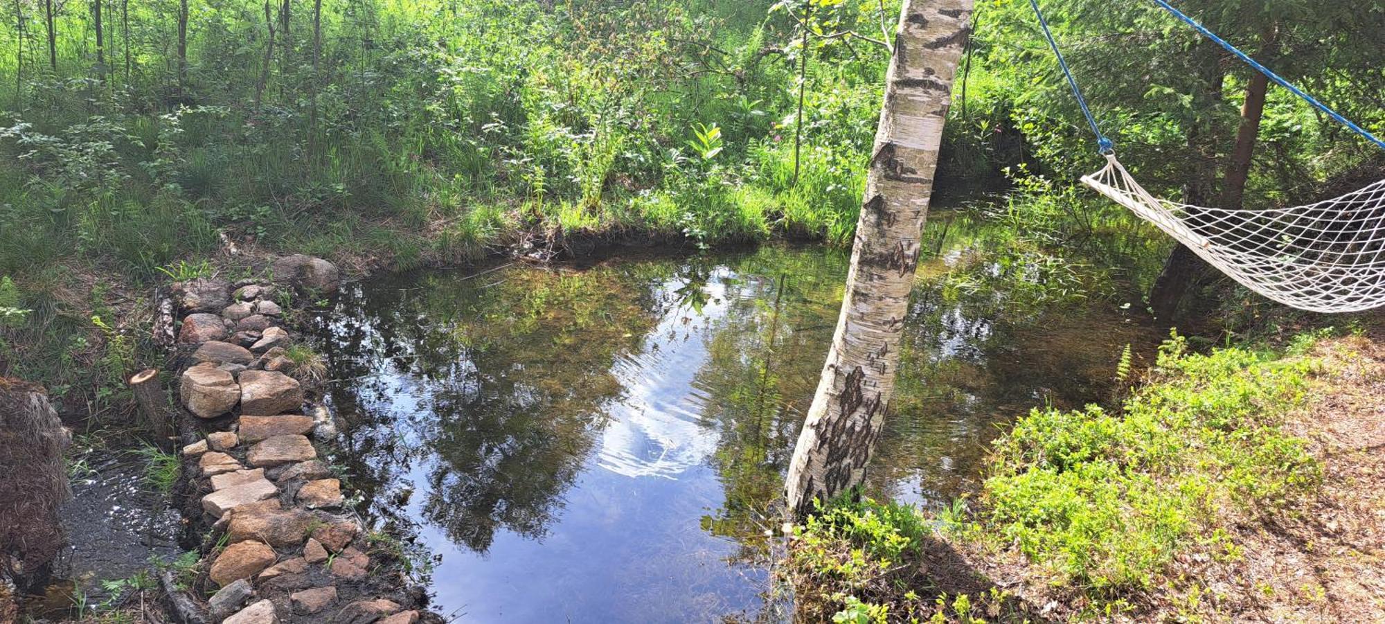 Górskie Zacisze * Borowice